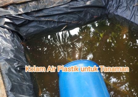 Kolam Air Plastik Untuk Tanaman Solusi Berkebun Jauh dari Sumber Air